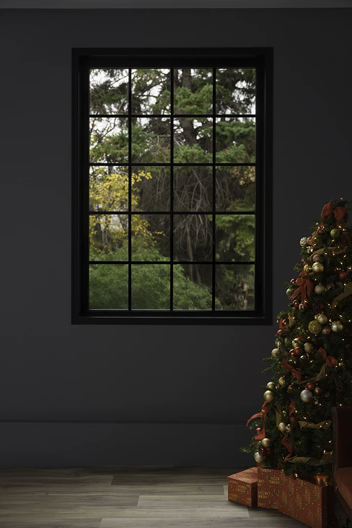 Red Christmas tree in front of window at studio 342