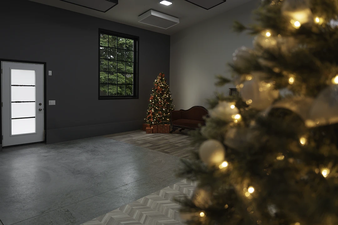 Christmas tree in foreground and background at studio 342