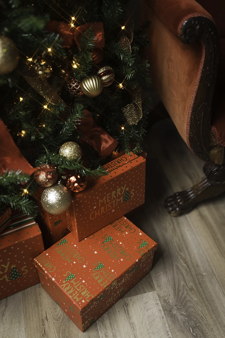 presents under tree during Christmas