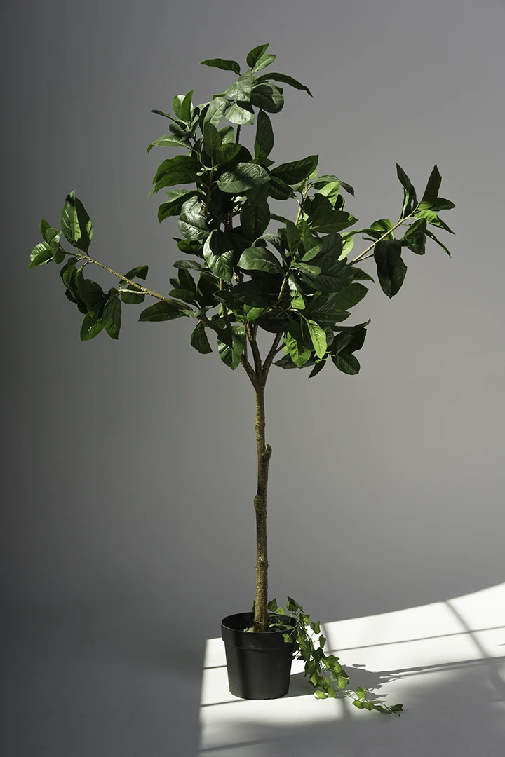 photo of artificial plant at photo studio in Calgary