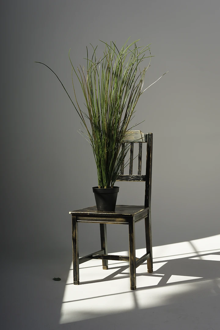 grass style plant propped up on chair